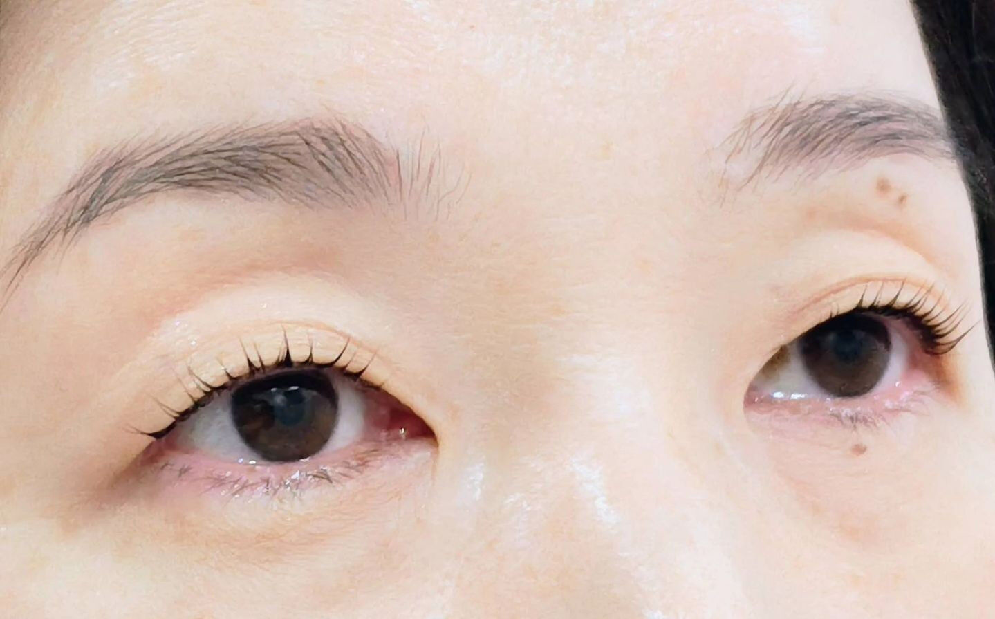 MEGA FLAT LASH 🤍