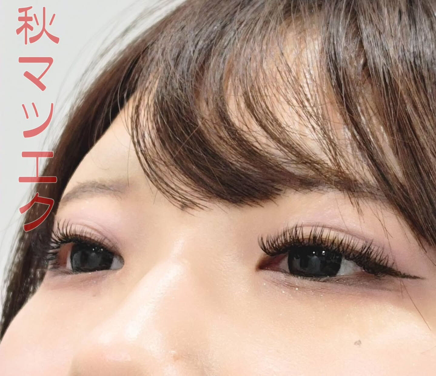 🤍 Flat Lash｜フラットラッシュ 🤍