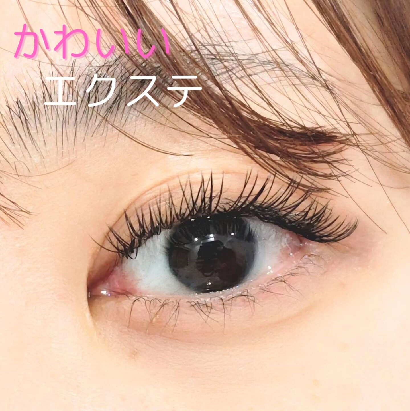 🤍 Flat Lash｜フラットラッシュ 🤍