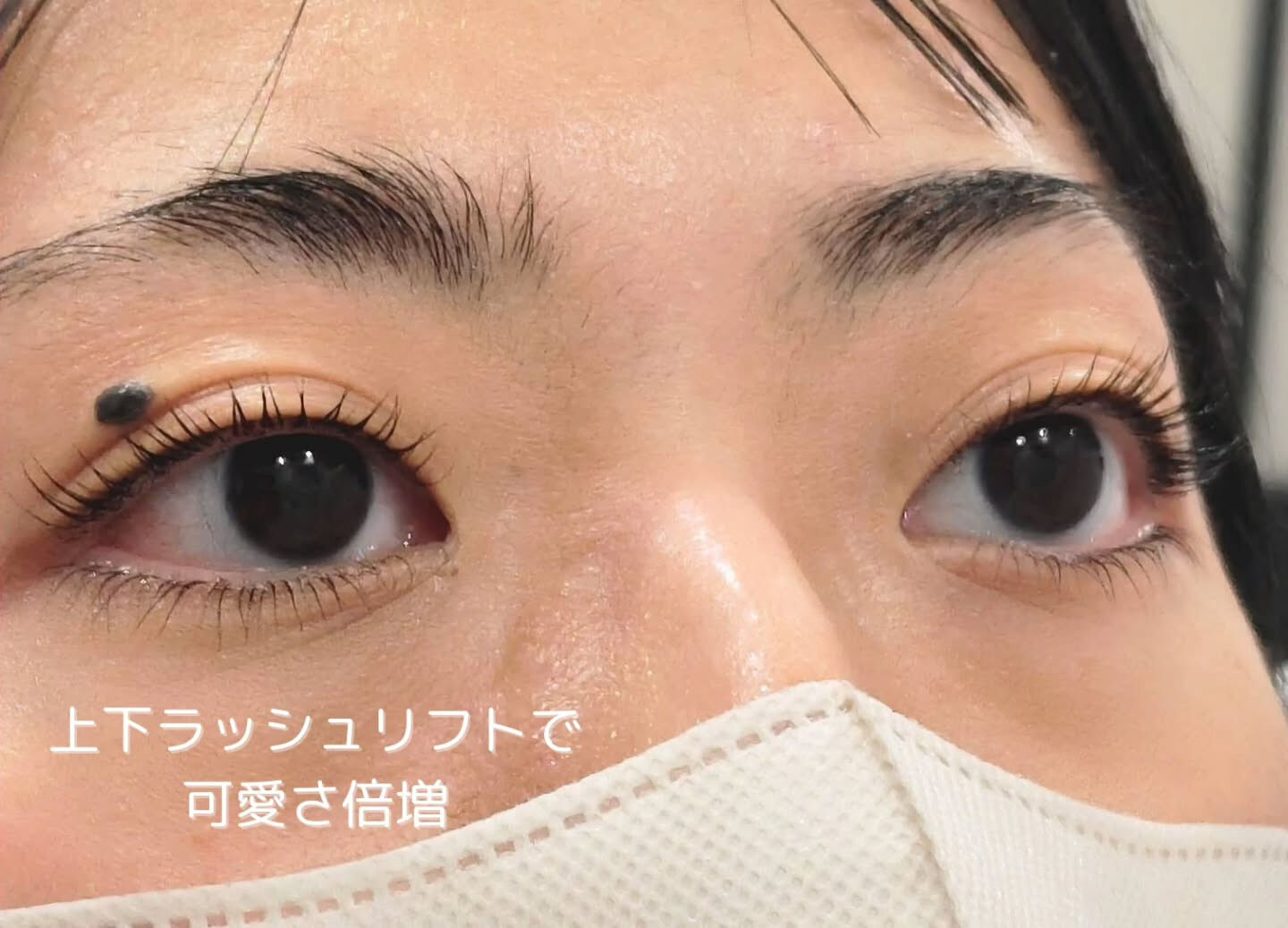 🤍 Flat Lash｜フラットラッシュ 🤍