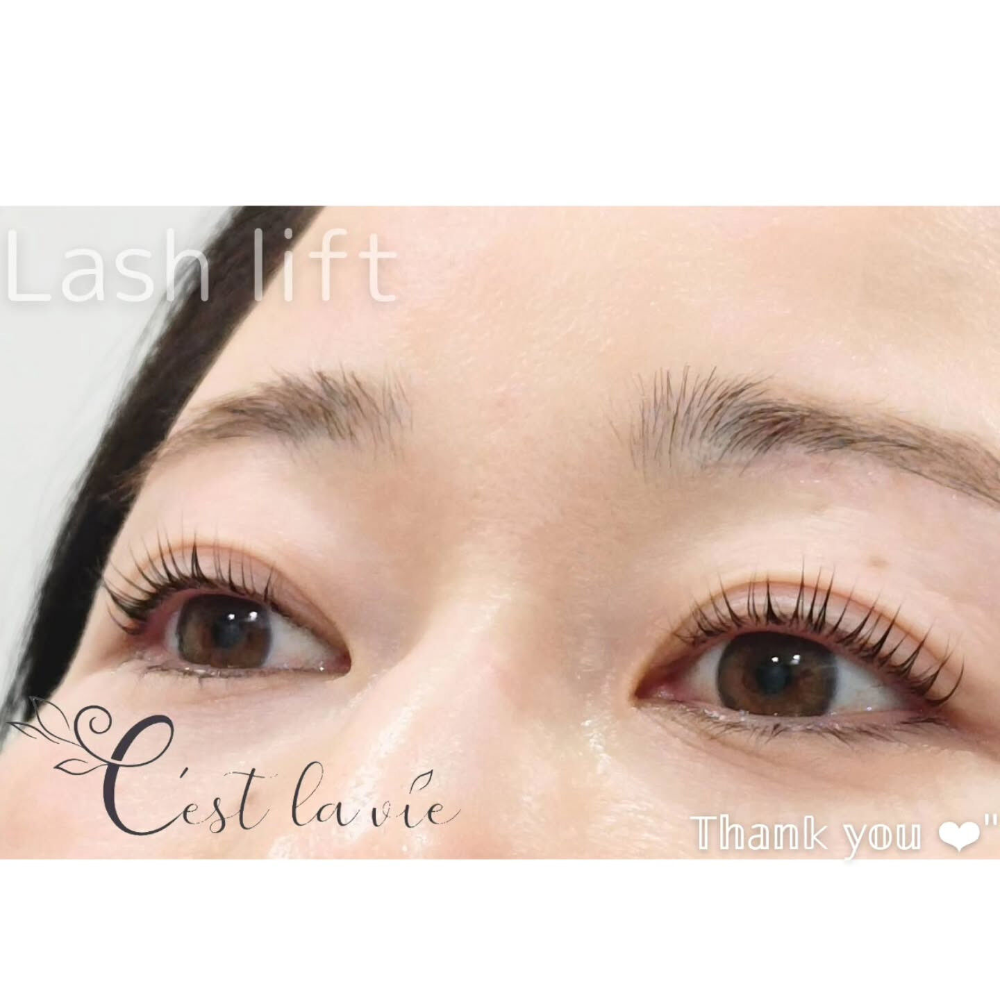 🤍 Flat Lash｜フラットラッシュ 🤍