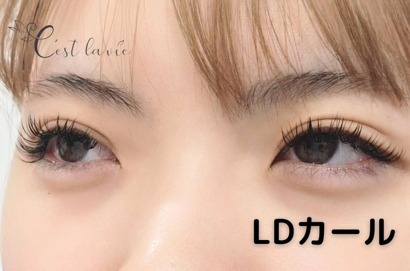 🤍 Flat Lash｜フラットラッシュ 🤍