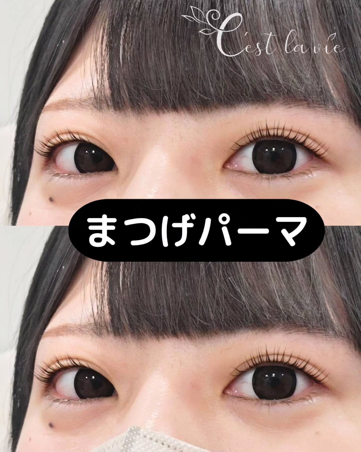 🤍 Flat Lash｜フラットラッシュ 🤍