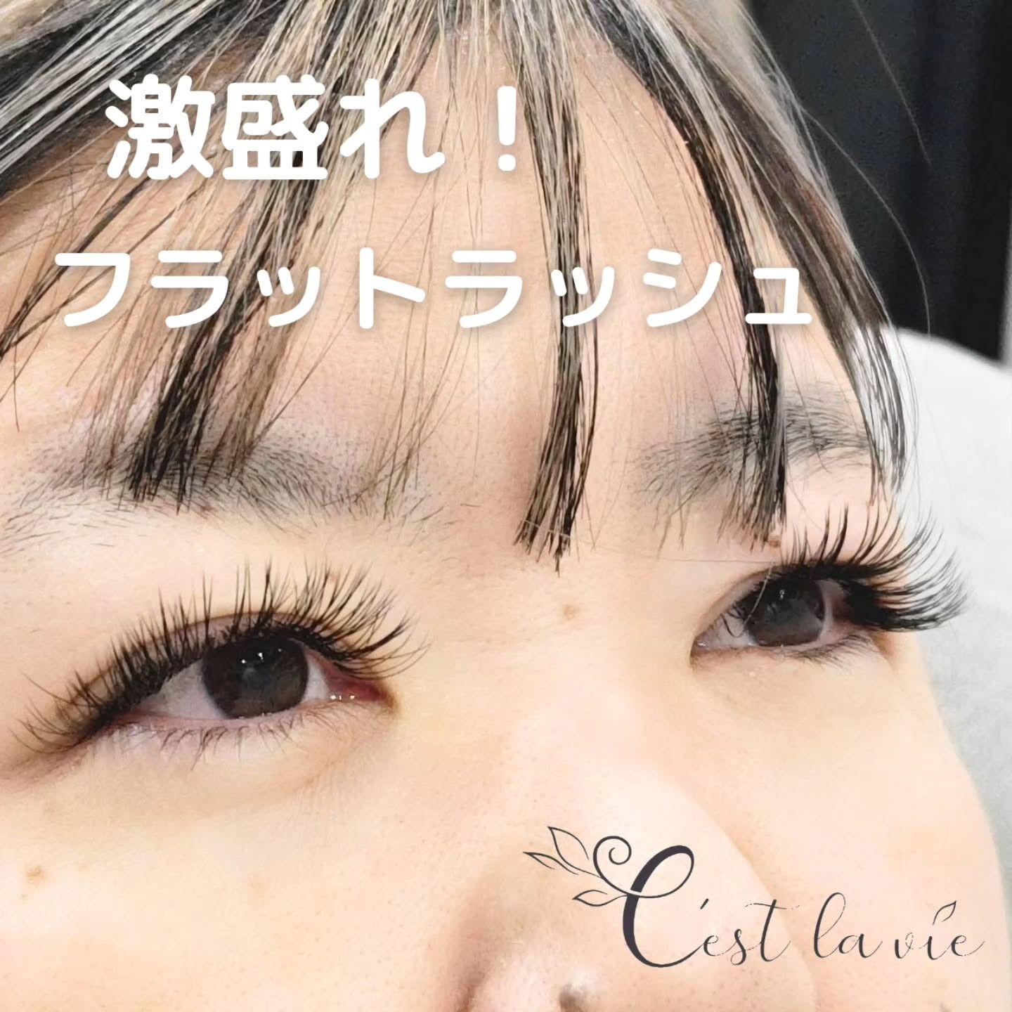 🤍 Flat Lash｜フラットラッシュ 🤍