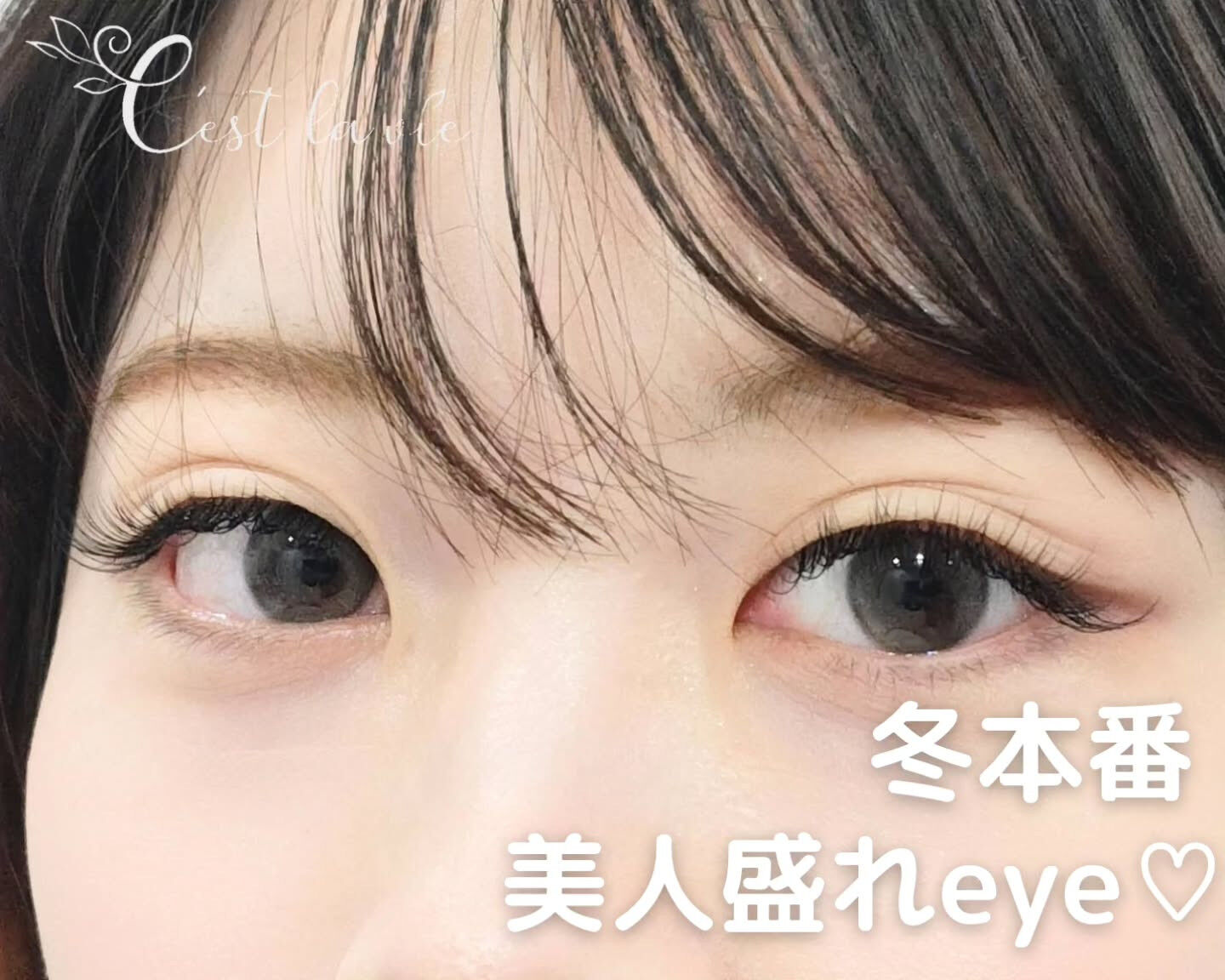 🤍 Flat Lash｜フラットラッシュ 🤍