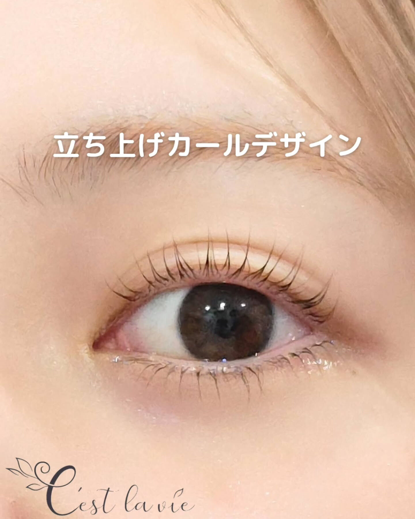 🤍 Flat Lash｜フラットラッシュ 🤍