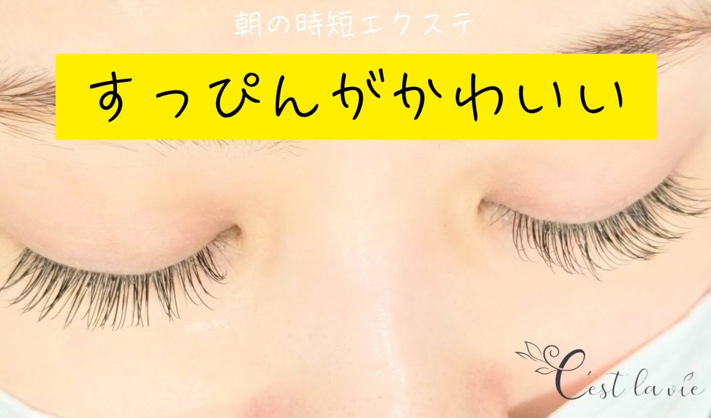 🤍 Flat Lash｜フラットラッシュ 🤍