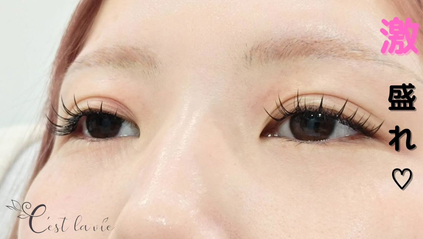 🤍 Flat Lash｜フラットラッシュ 🤍