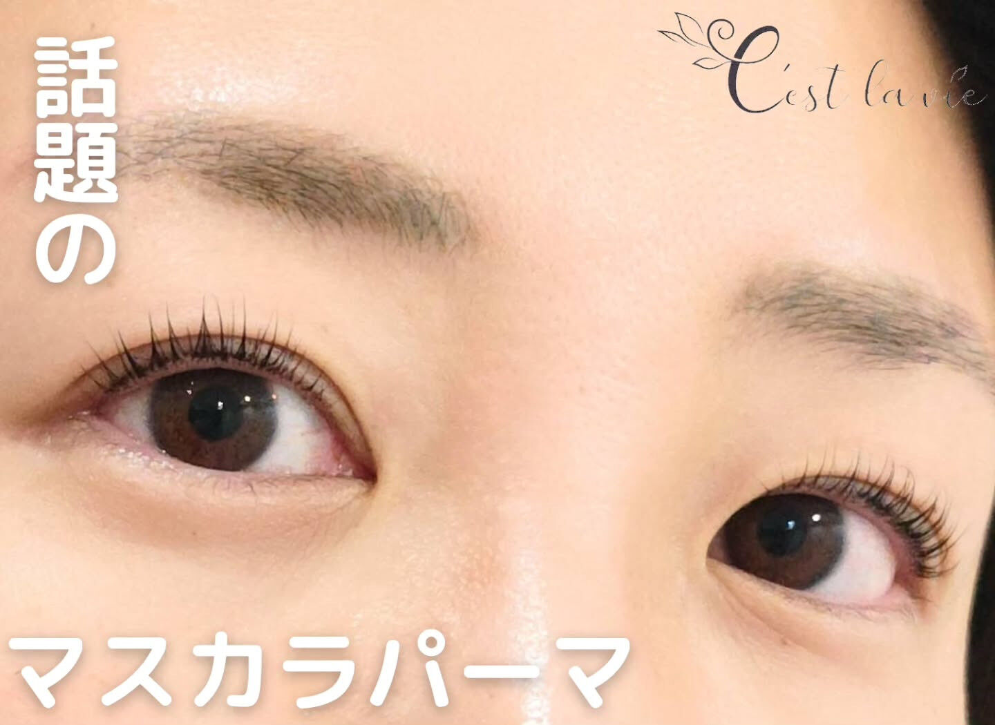 🤍 Flat Lash｜フラットラッシュ 🤍
