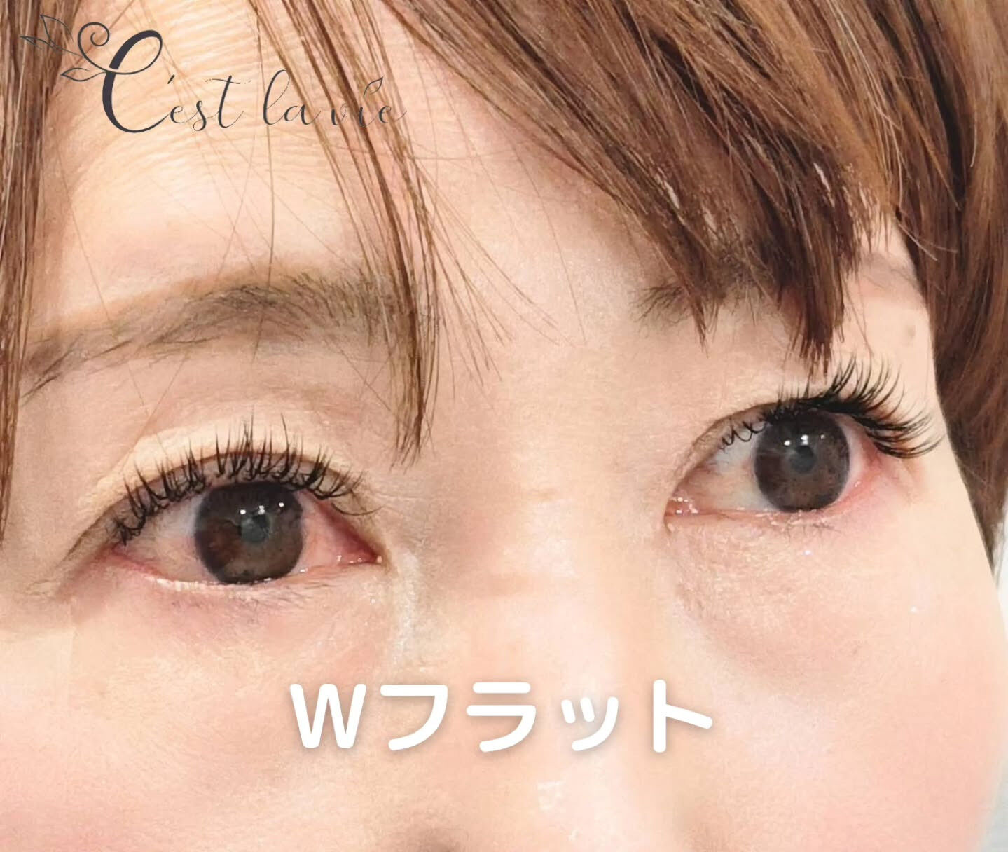 🤍 Flat Lash｜フラットラッシュ 🤍