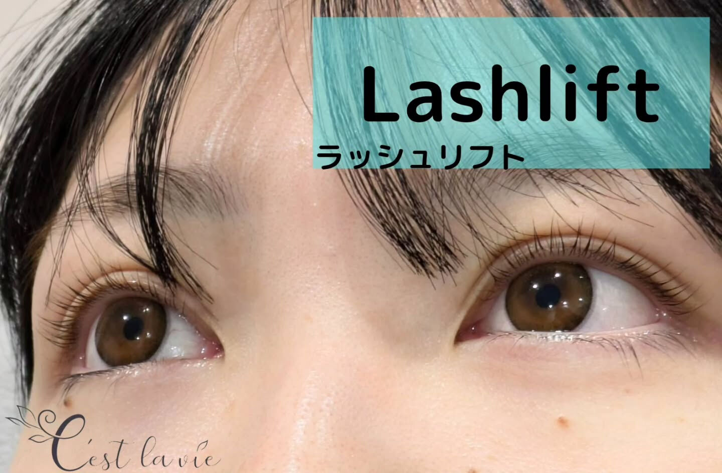 🤍 Flat Lash｜フラットラッシュ 🤍