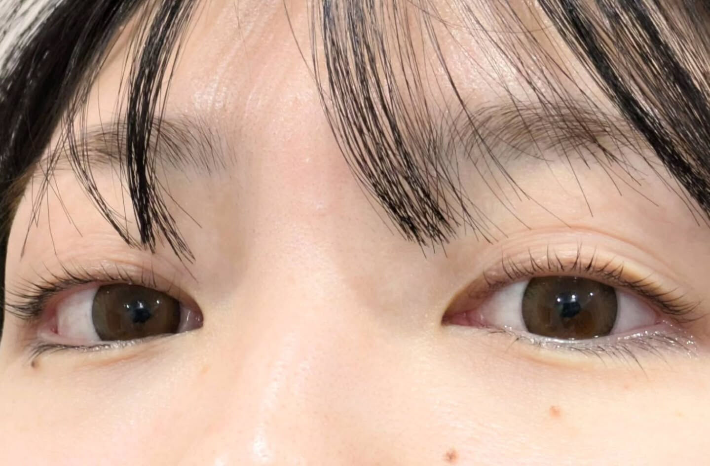 🤍 Flat Lash｜フラットラッシュ 🤍