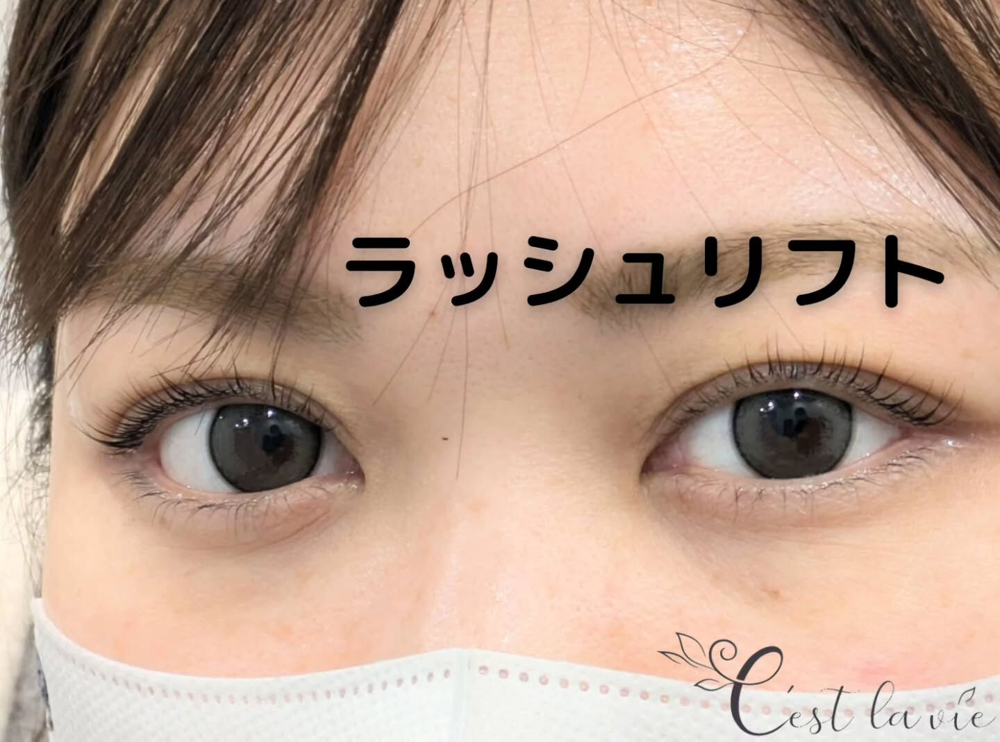 🤍 Flat Lash｜フラットラッシュ 🤍