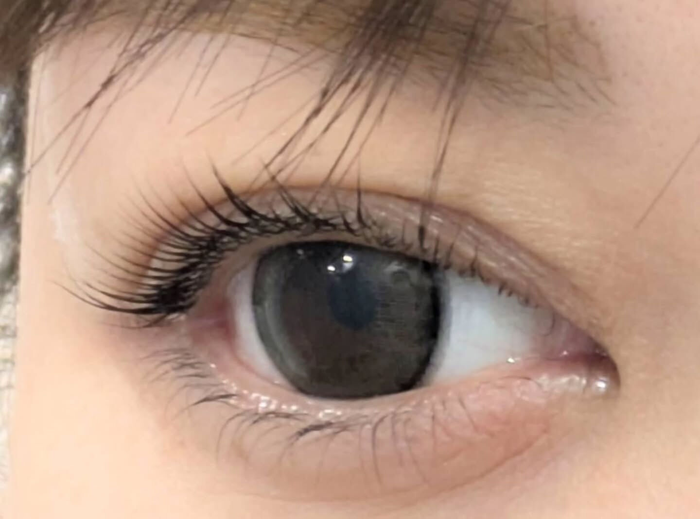 🤍 Flat Lash｜フラットラッシュ 🤍