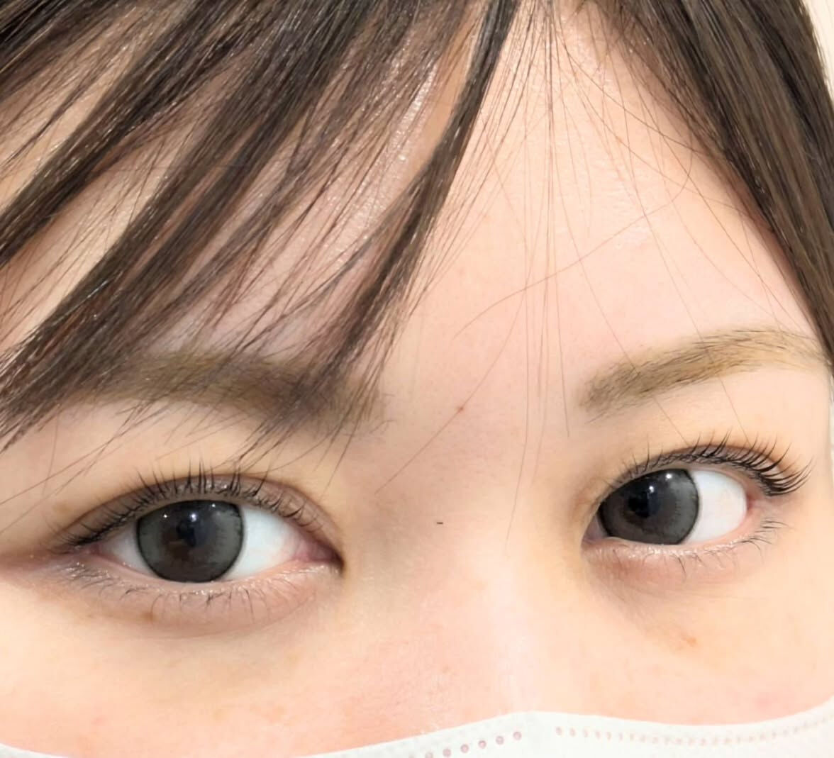 🤍 Flat Lash｜フラットラッシュ 🤍