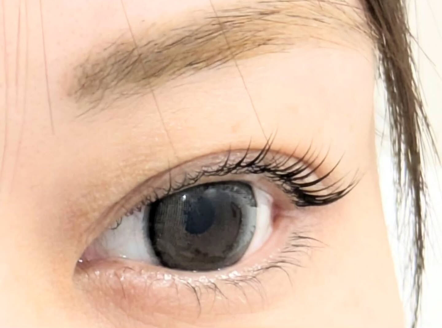 🤍 Flat Lash｜フラットラッシュ 🤍