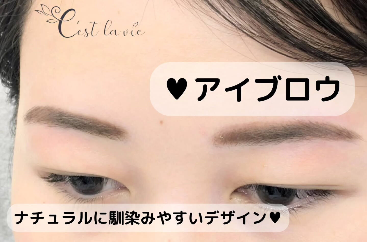 🤍 Flat Lash｜フラットラッシュ 🤍