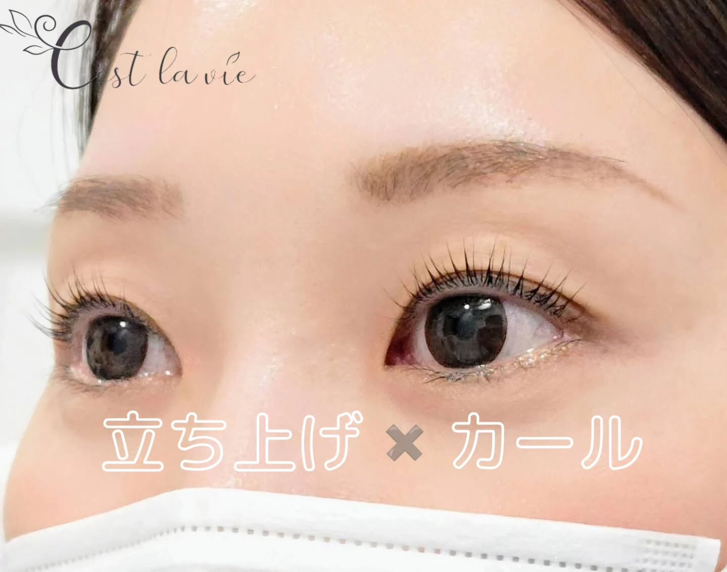 MEGA FLAT LASH ♡ メガフラットラッシュ