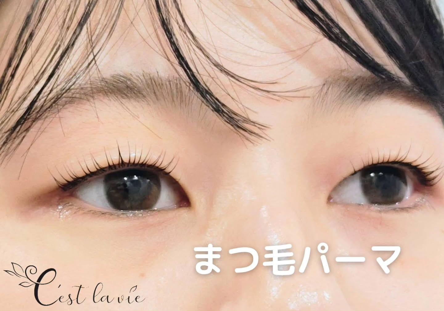 🤍 Flat Lash｜フラットラッシュ 🤍