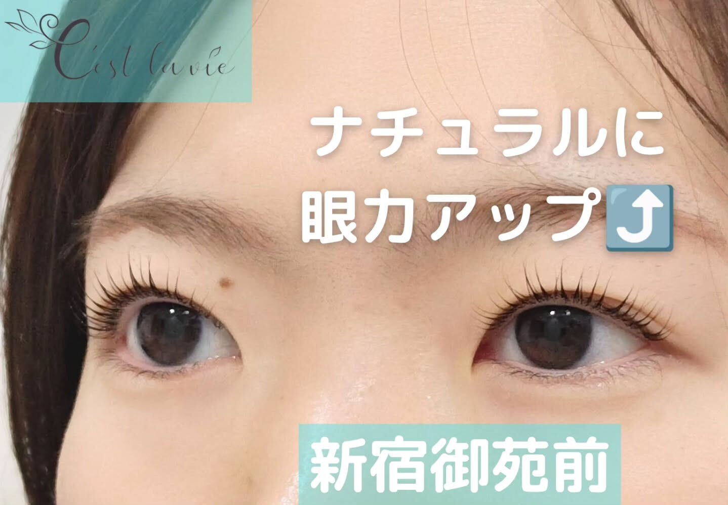 🤍 Flat Lash｜フラットラッシュ 🤍