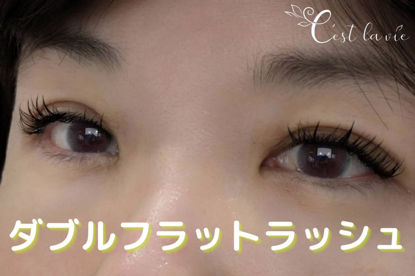 🤍 Flat Lash｜フラットラッシュ 🤍