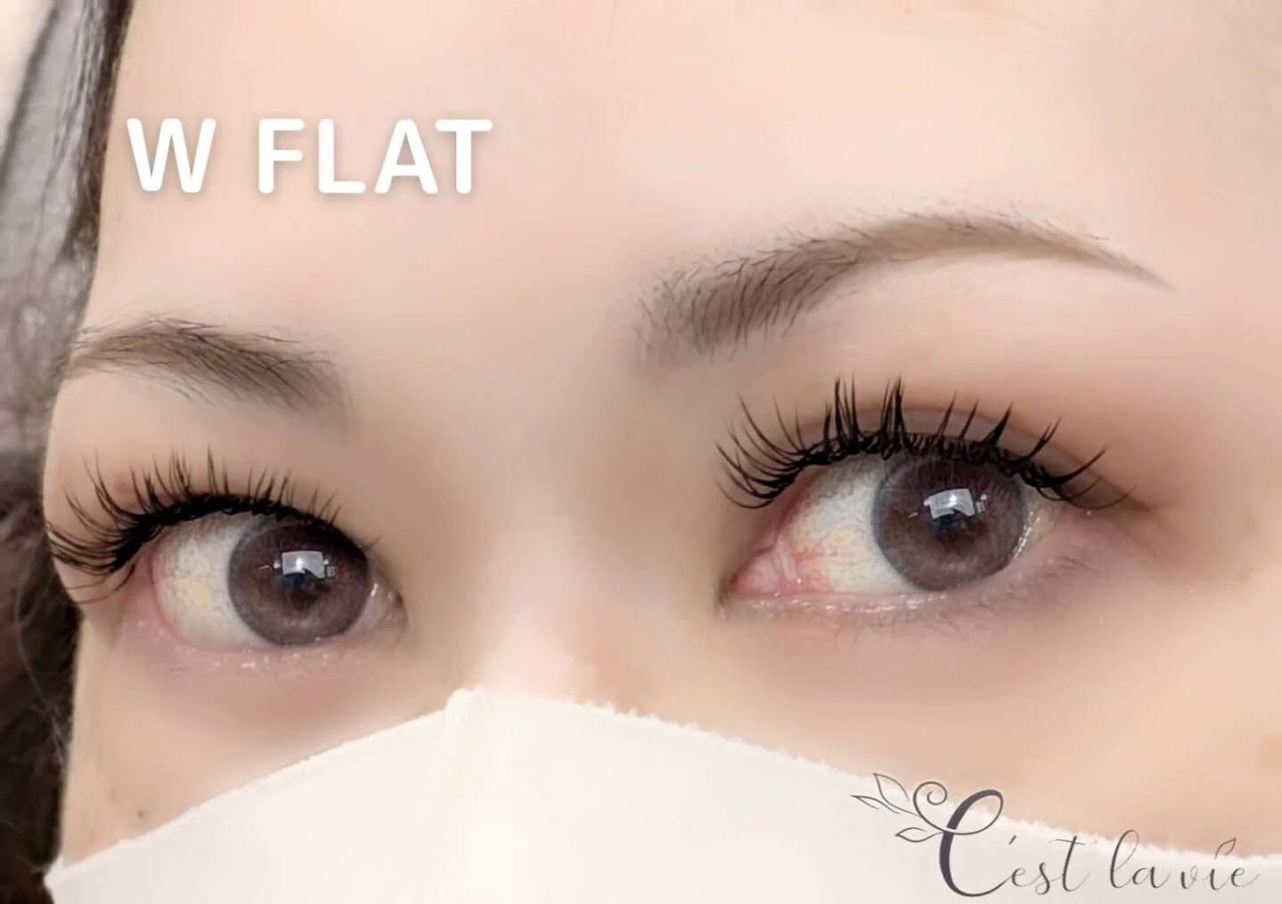 🤍 Flat Lash｜フラットラッシュ 🤍