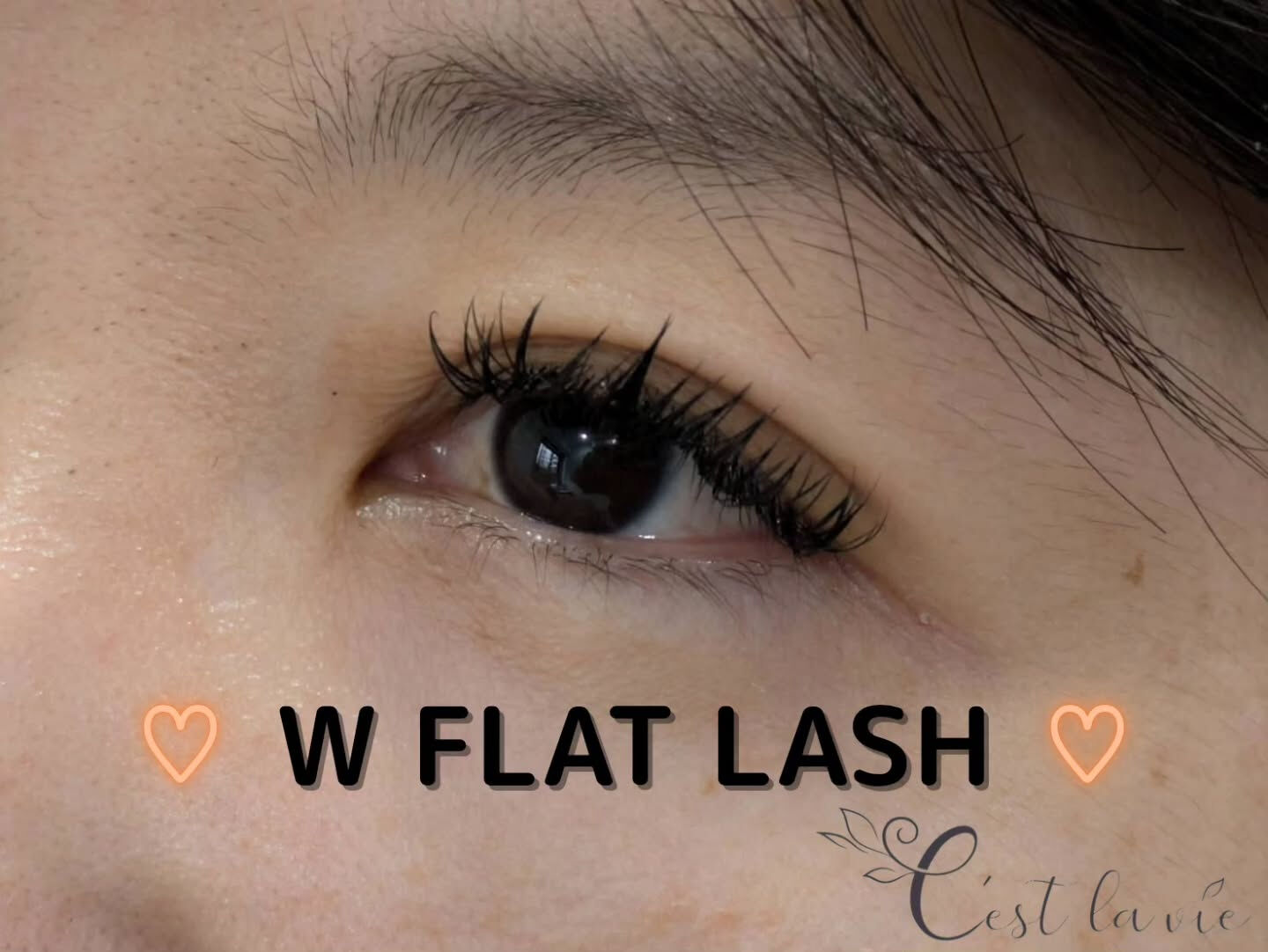 🤍 Flat Lash｜フラットラッシュ 🤍
