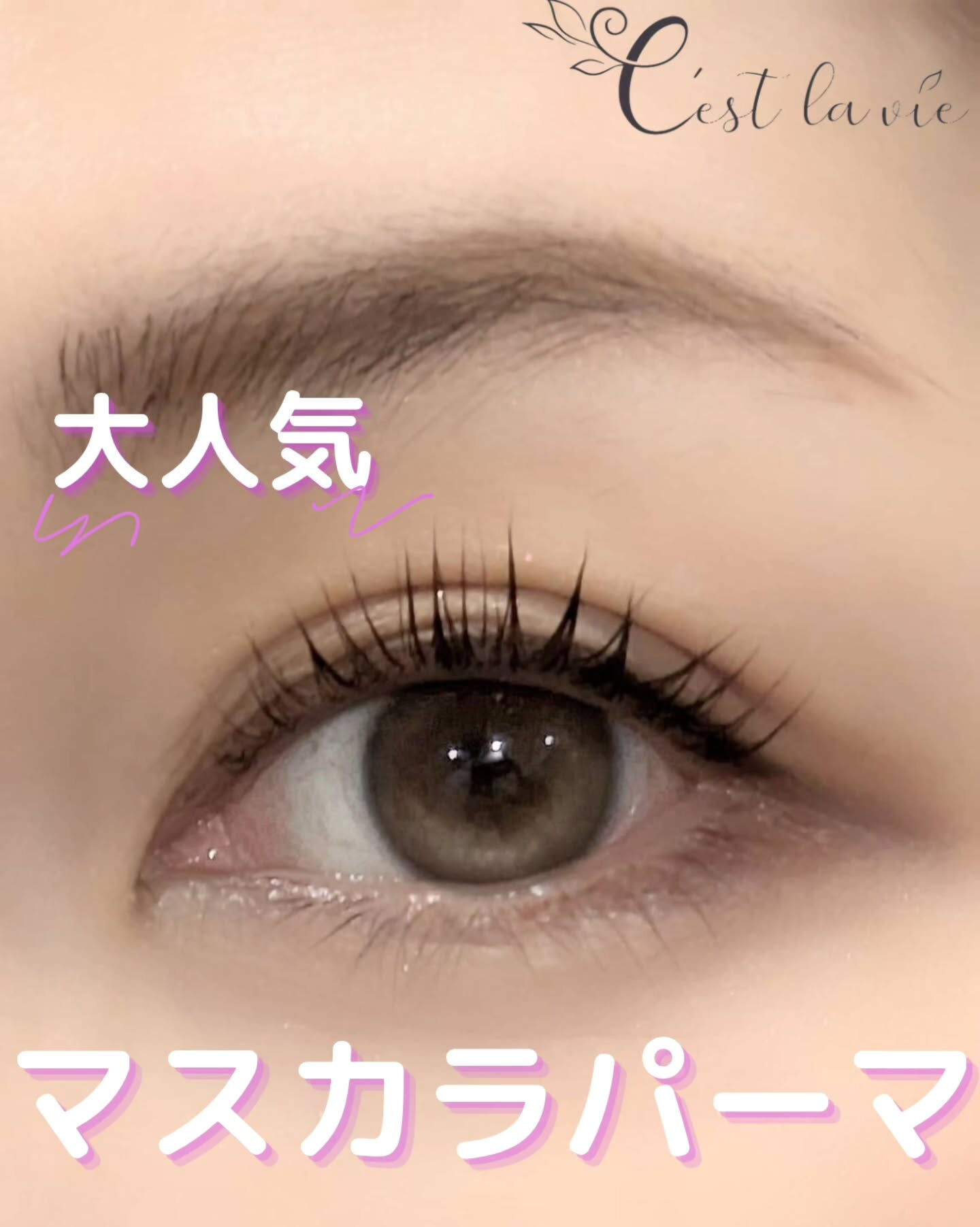🤍 Flat Lash｜フラットラッシュ 🤍