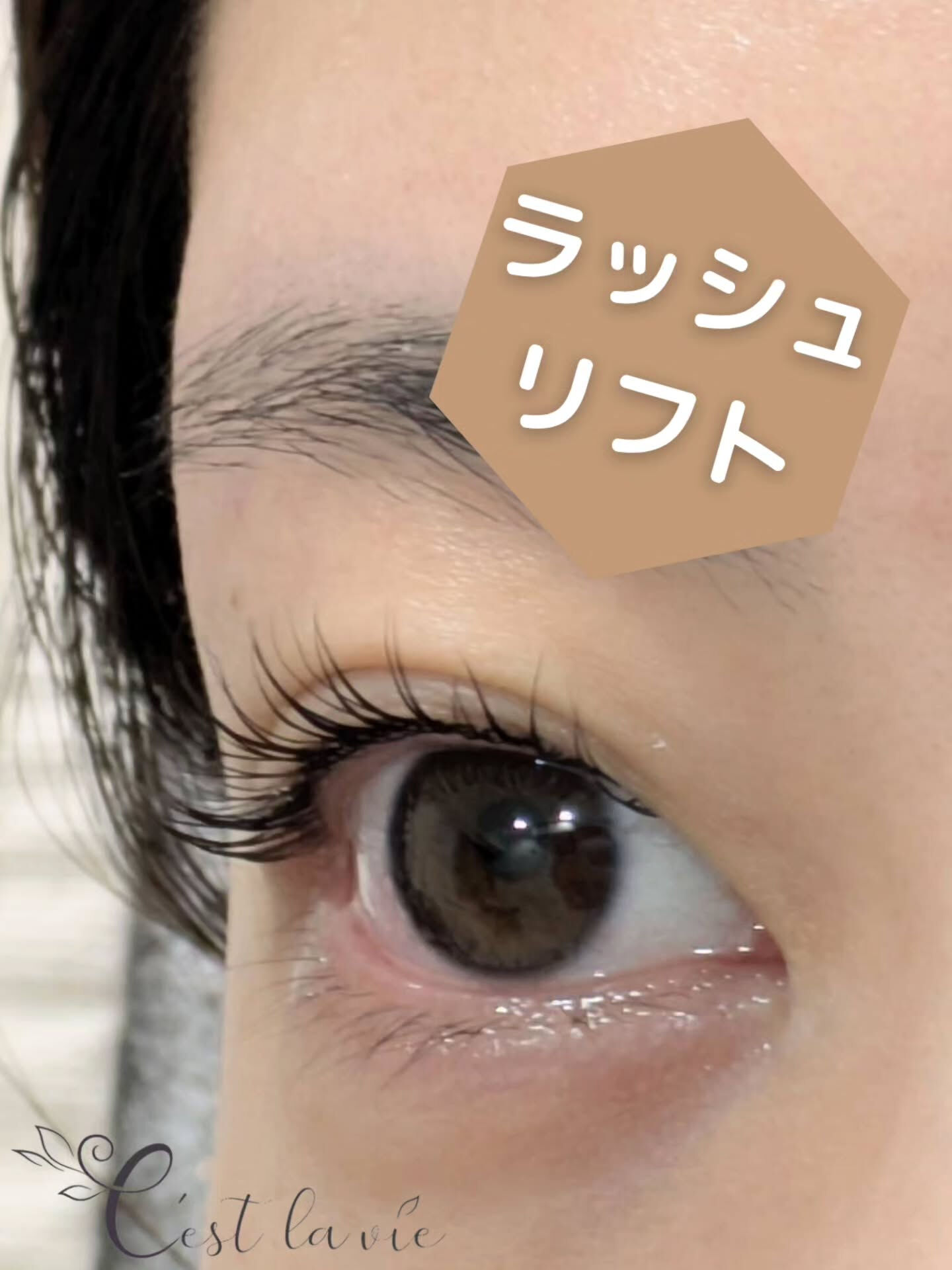 🤍 Flat Lash｜フラットラッシュ 🤍