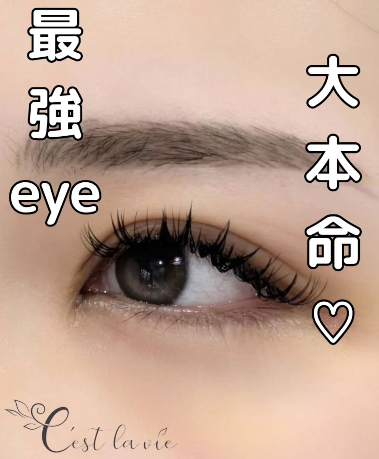 🤍 Flat Lash｜フラットラッシュ 🤍