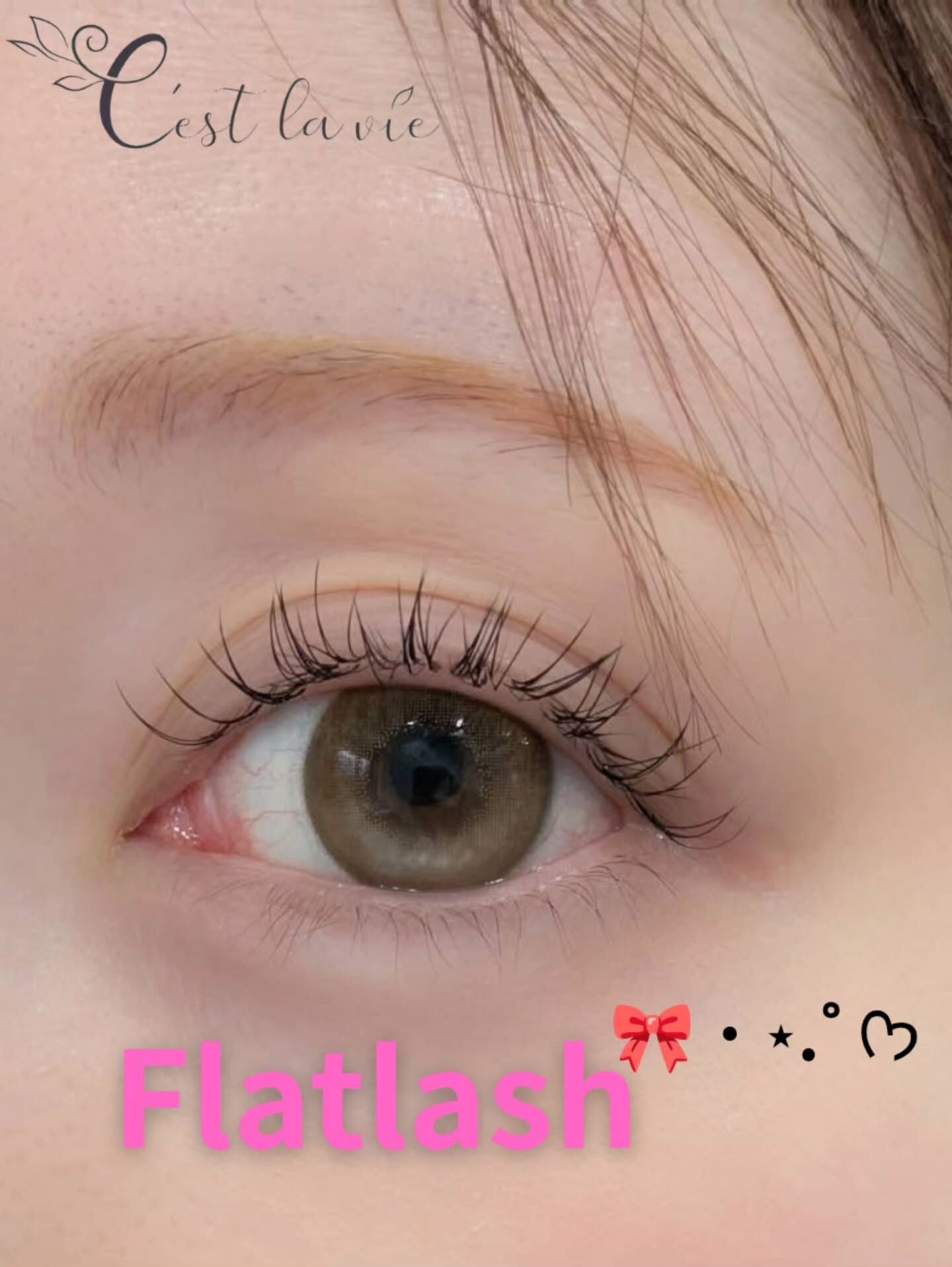 🤍 Flat Lash｜フラットラッシュ 🤍