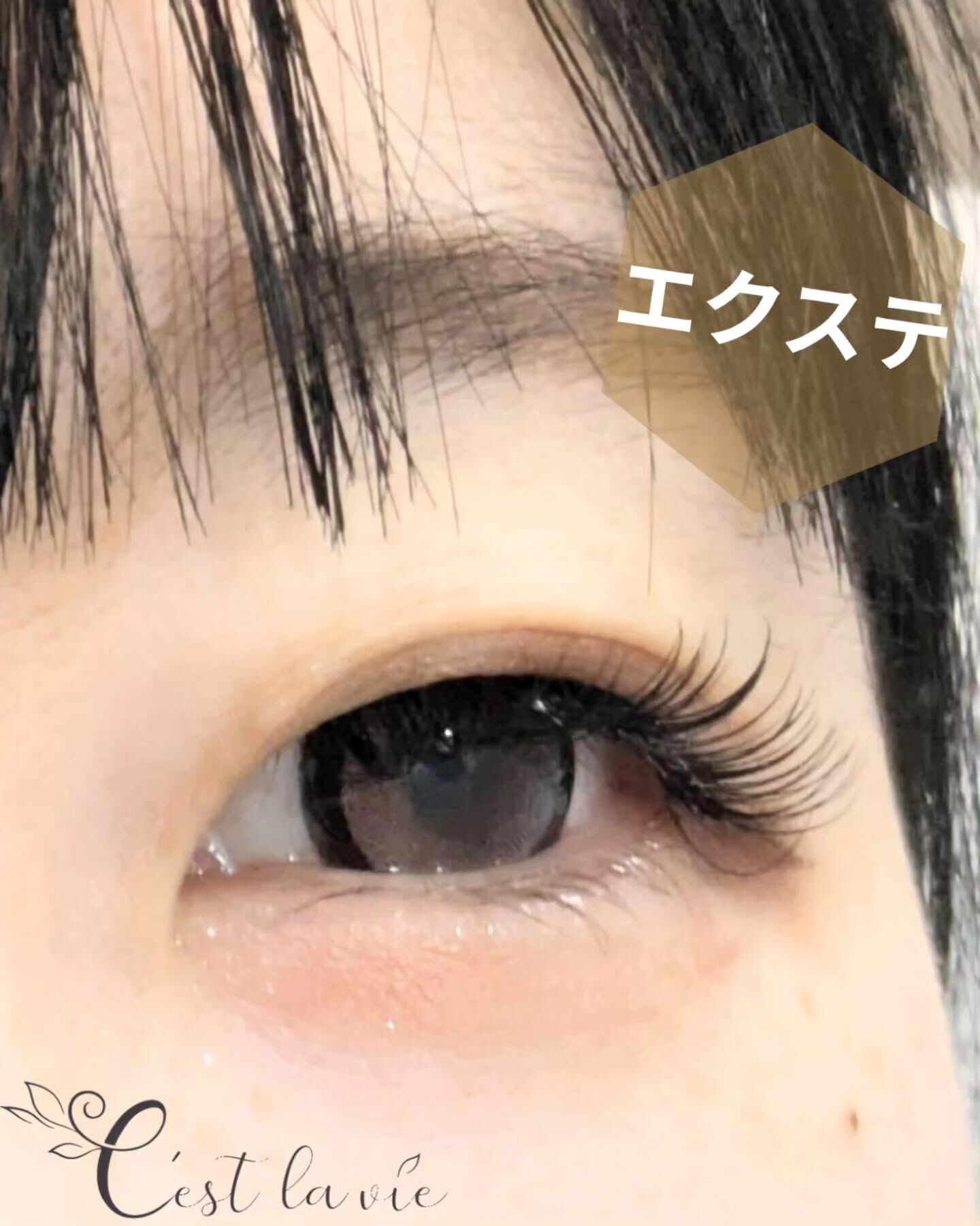 🤍 Flat Lash｜フラットラッシュ 🤍