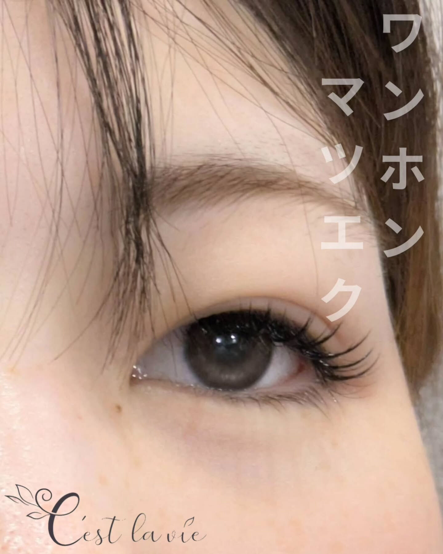 🤍 Flat Lash｜フラットラッシュ 🤍