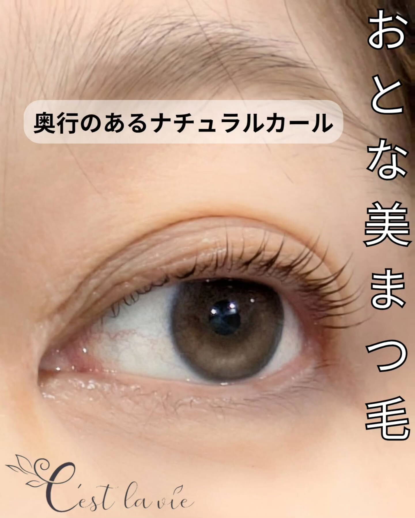 🤍 Flat Lash｜フラットラッシュ 🤍