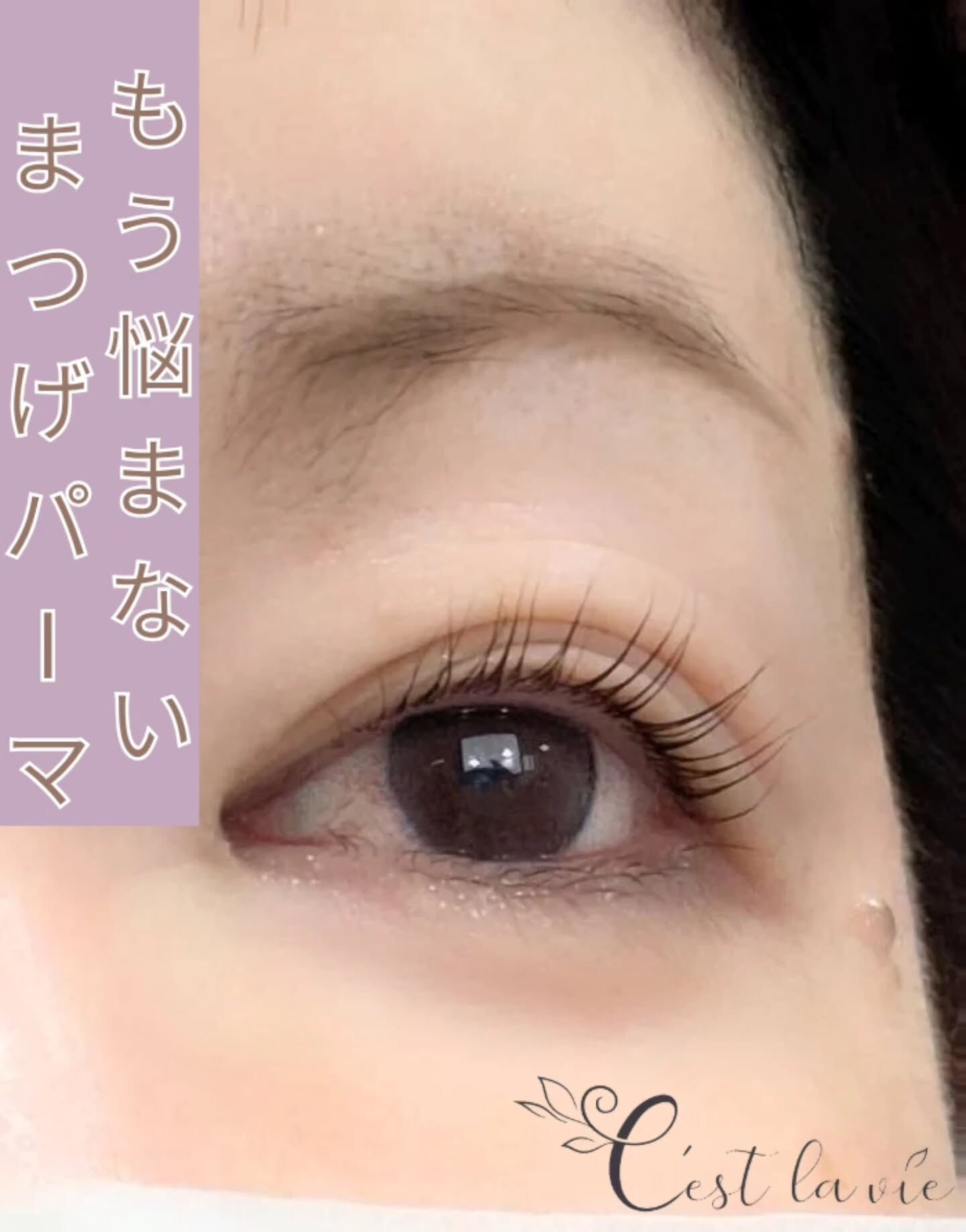 🤍 Flat Lash｜フラットラッシュ 🤍