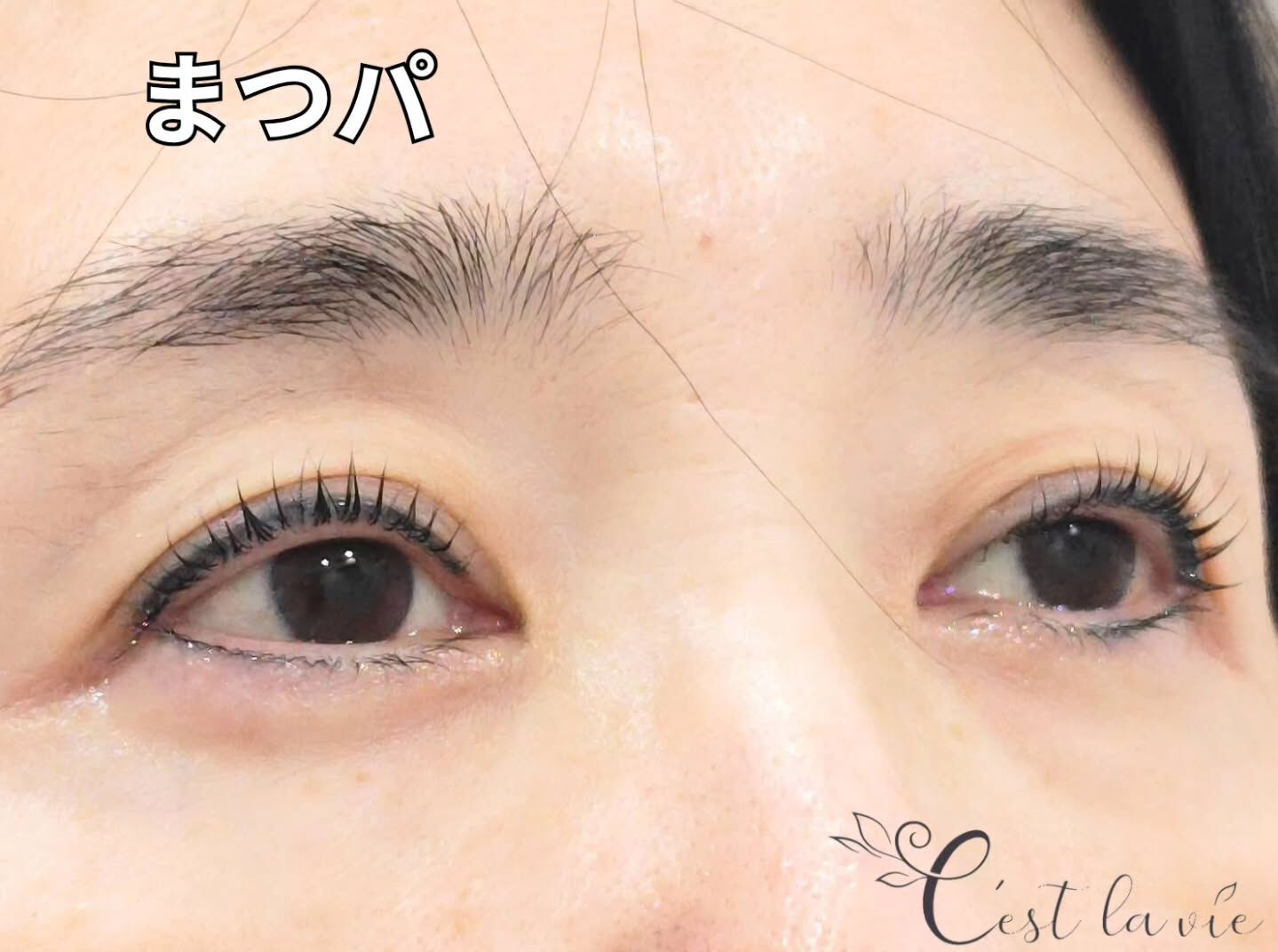 MEGA FLAT LASH 🤍
